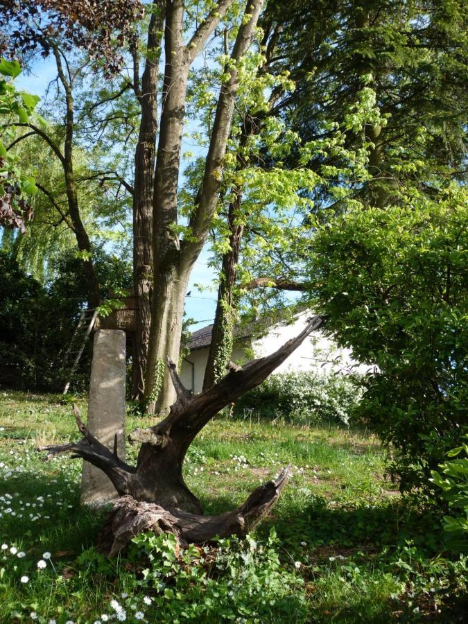 Gite D'Maisala Les Mesanges Heidwiller Exterior photo